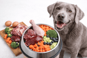 Perro gris feliz junto a un bol de dieta BARF con carne cruda, vísceras y verduras frescas sobre fondo claro