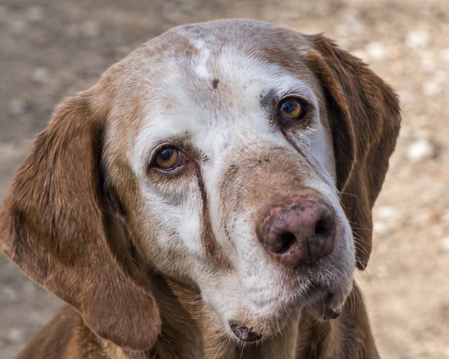 ROSCO