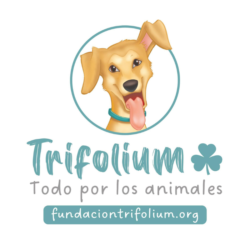 FUNDACIÓ TRIFÒLIUM